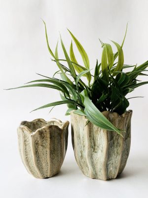 Keramikk potte blomst 14x14 cm grønn