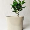Blomsterkasse balje 27x19x19 cm sand