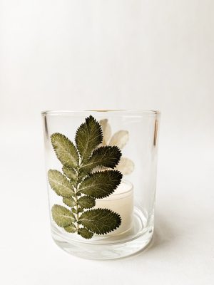 Lysglass botanikk 7x8 cm grønt blad