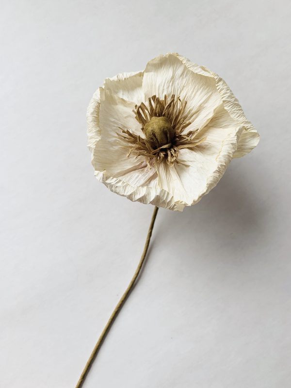 Papirblomst valmue 30 cm creme