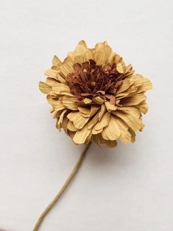 Papirblomst gerbera 30 cm gul