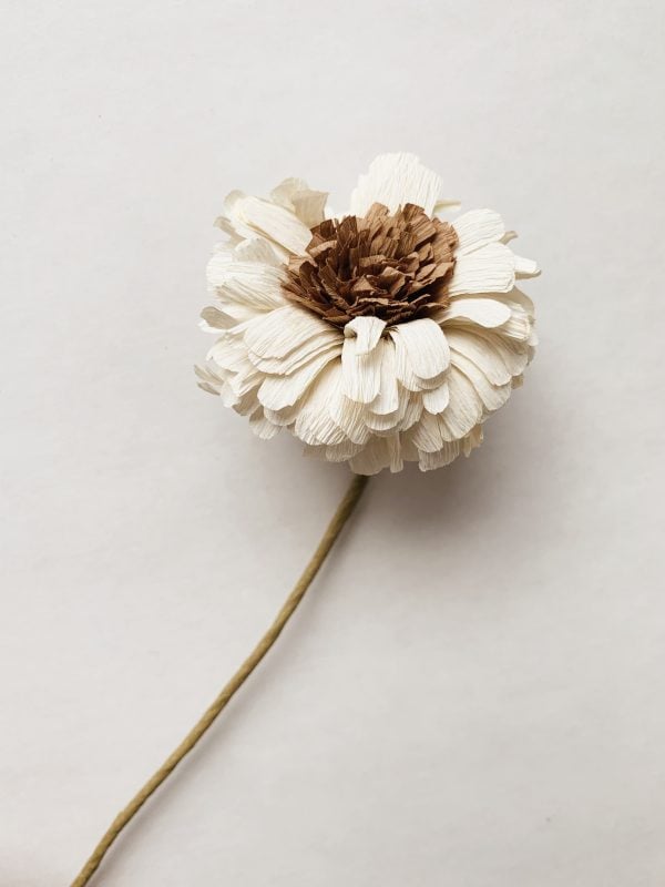 Papirblomst gerbera 30 cm creme
