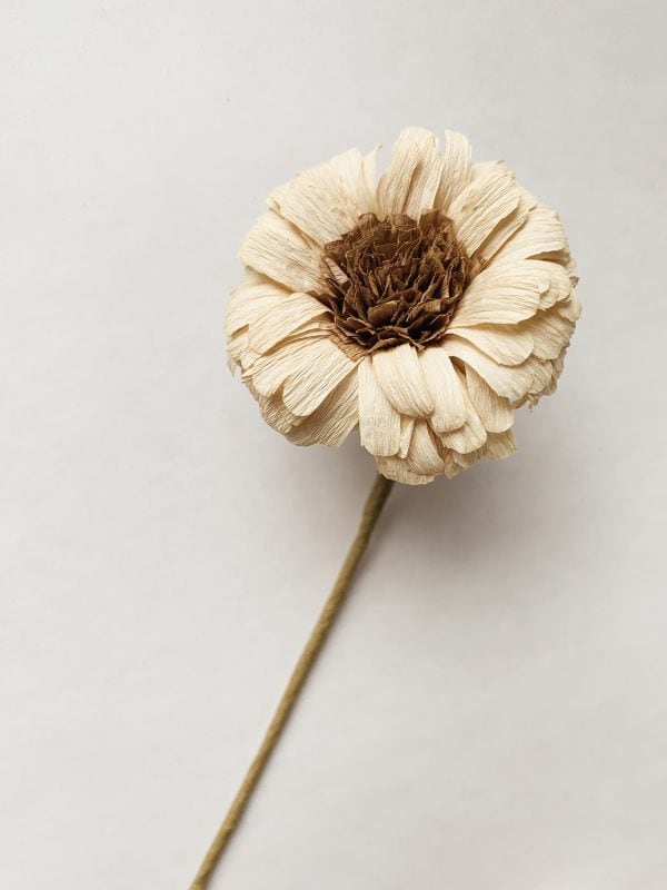 Papirblomst gerbera 30 cm sand