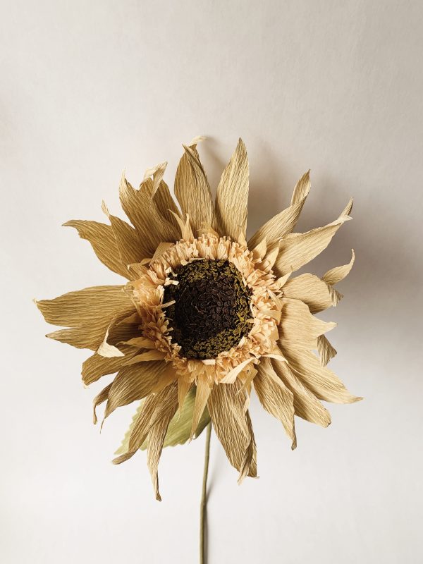 Papirblomst solsikke h 72 cm creme - Bilde 4