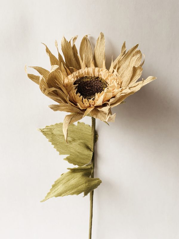 Papirblomst solsikke h 72 cm creme