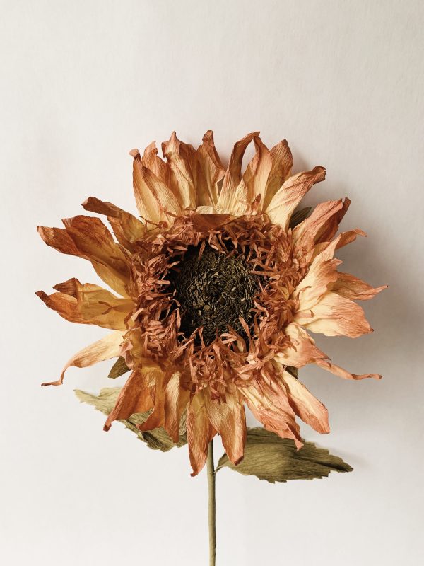 Papirblomst solsikke h 70 cm rust - Bilde 2