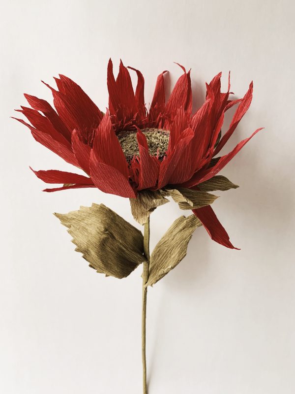 Papirblomst solsikke h 70 cm rød