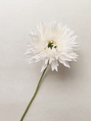 Gerbera 44 cm creme