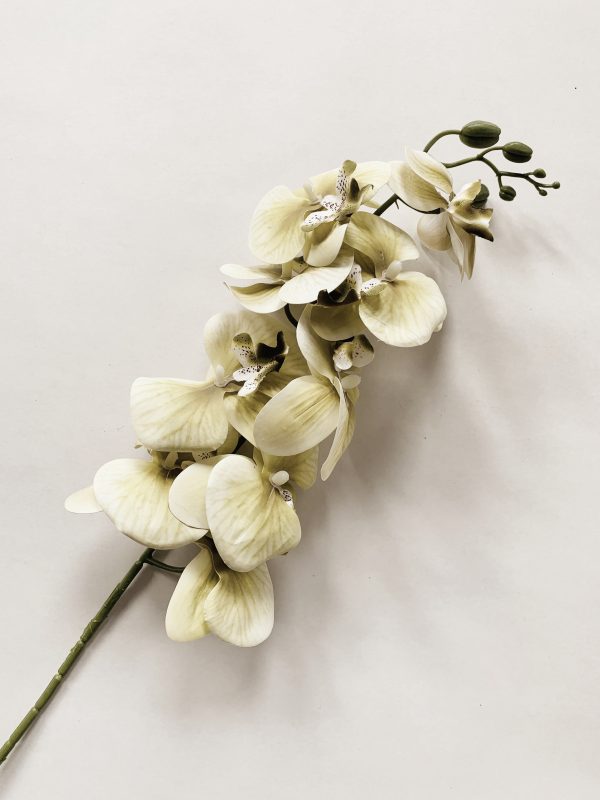 Orkide 95 cm