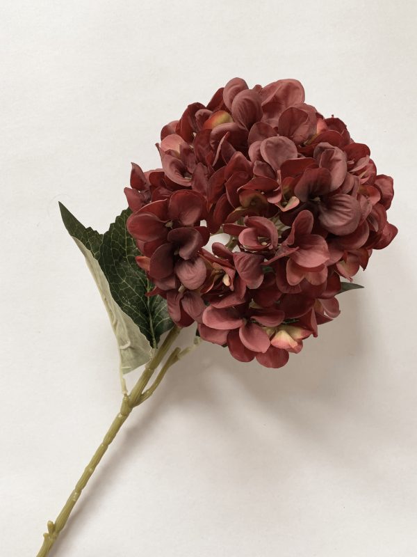 Hortensia 60 cm
