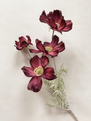 Cosmos rødlilla 59 cm