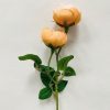 Rose 46 cm peach