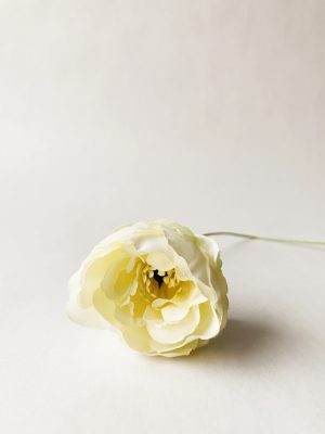 Ranunkel 50 cm creme