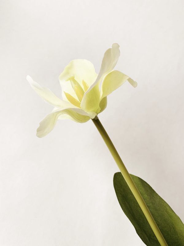 Tulipan 64cm gul