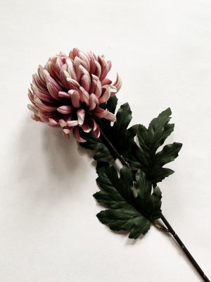 Krysantemum 67 cm rosa