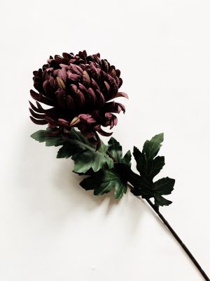 Krysantemum 67 cm burgunder