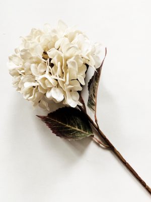 Hortensia 69 cm creme
