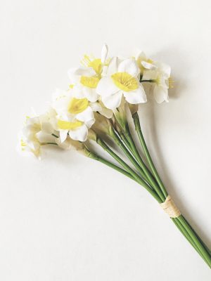 Narcisser 72 cm 6 stk/bunt creme