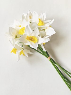 Narcisser stor 72 cm 6 stk/bunt creme