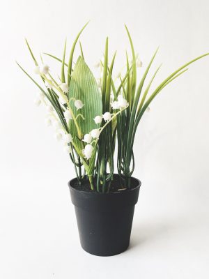 Liljekonvall i potte 29 cm