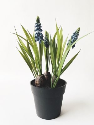 Perleblomst i potte 29 cm