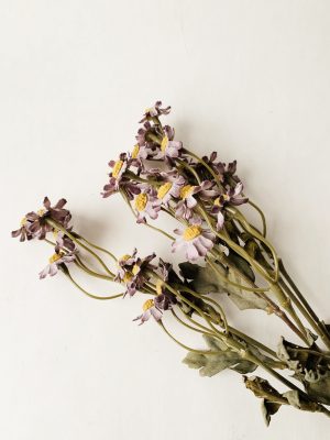 Asters lilla 53cm