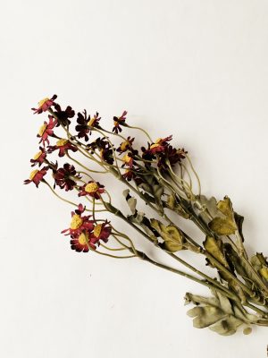 Asters burgunder 53cm
