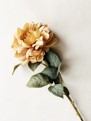 Rose gyllen gul 68cm