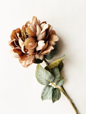 Rose gyllen rosa 68cm