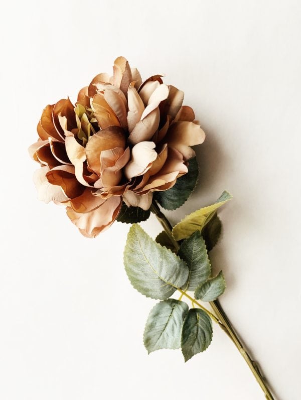 Rose gyllen rosa 68cm