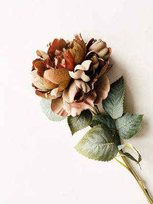 Rose gyllen burgunder 68cm
