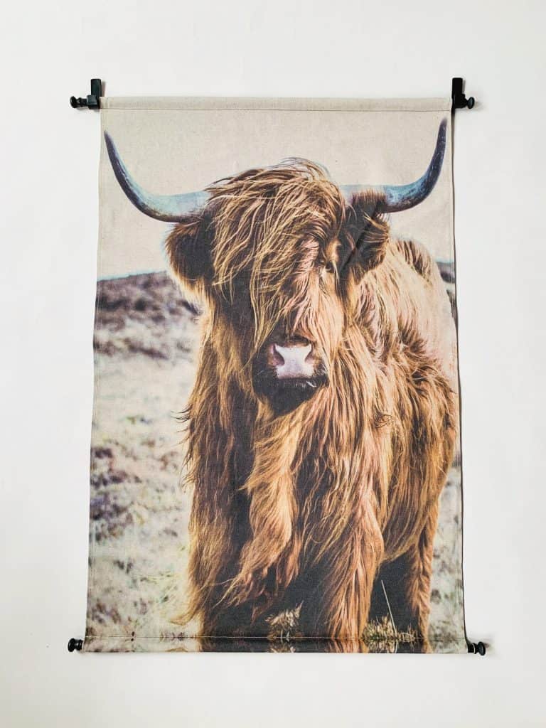 Plansje 60×90 cm Okse