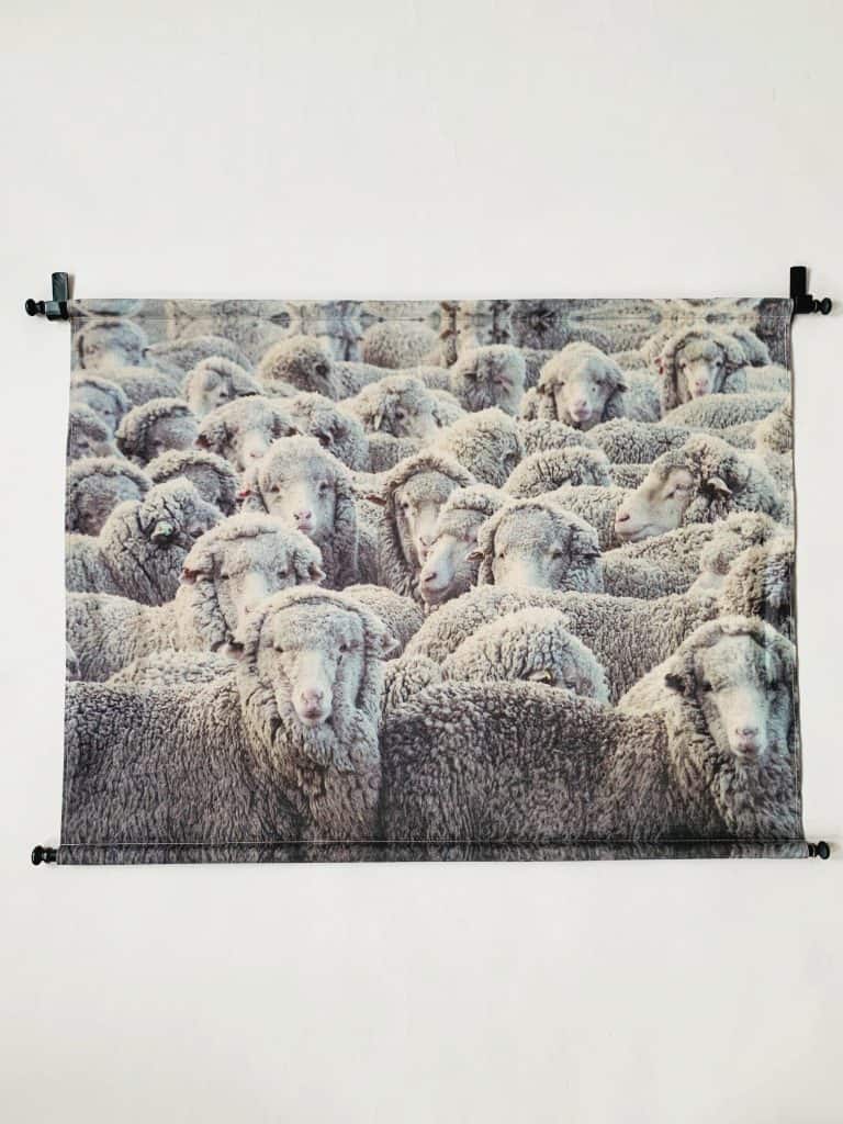 Plansje 90×60 cm Saueflokk