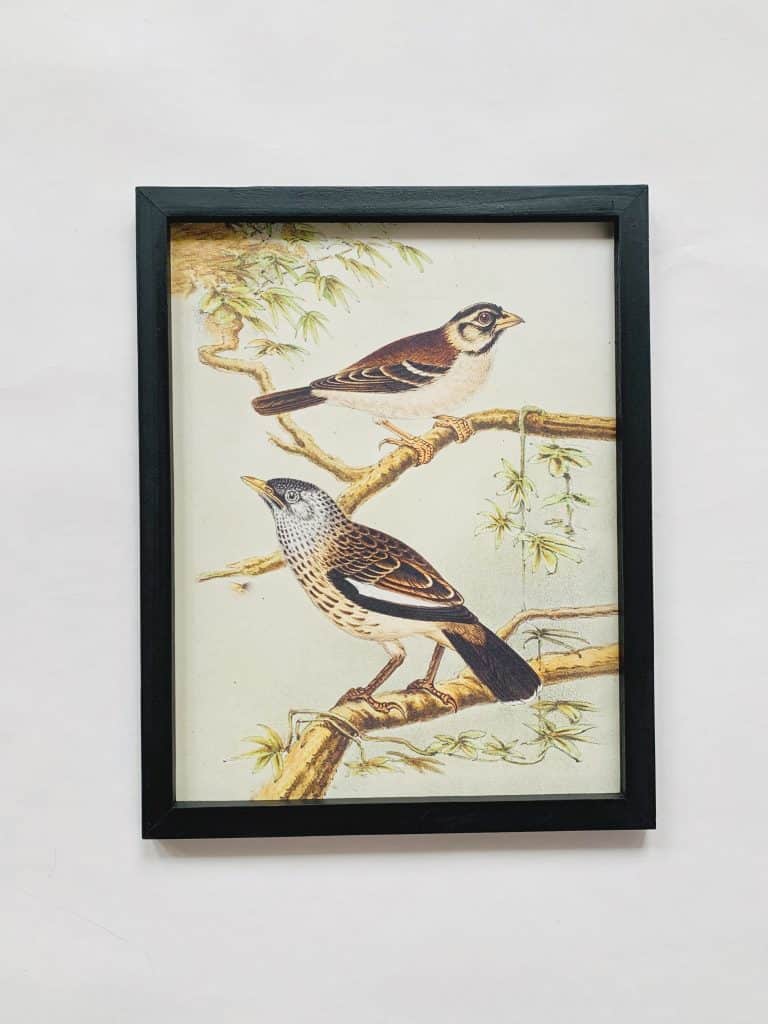 Bilde i ramme 33×41 cm fugler