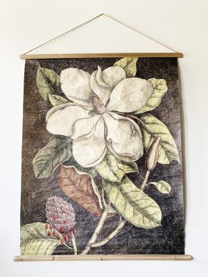 Bilde på rull 125x100 cm Magnolia