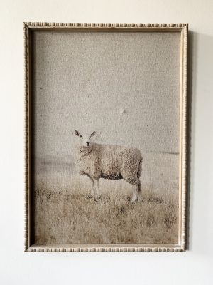 Bilde med ramme 50x70 cm Sau