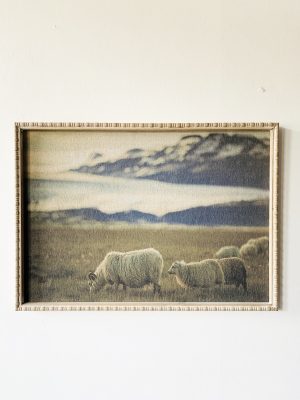 Bilde med ramme 50x70 cm Beitende sau