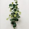 Gren eucalyptus 84 cm