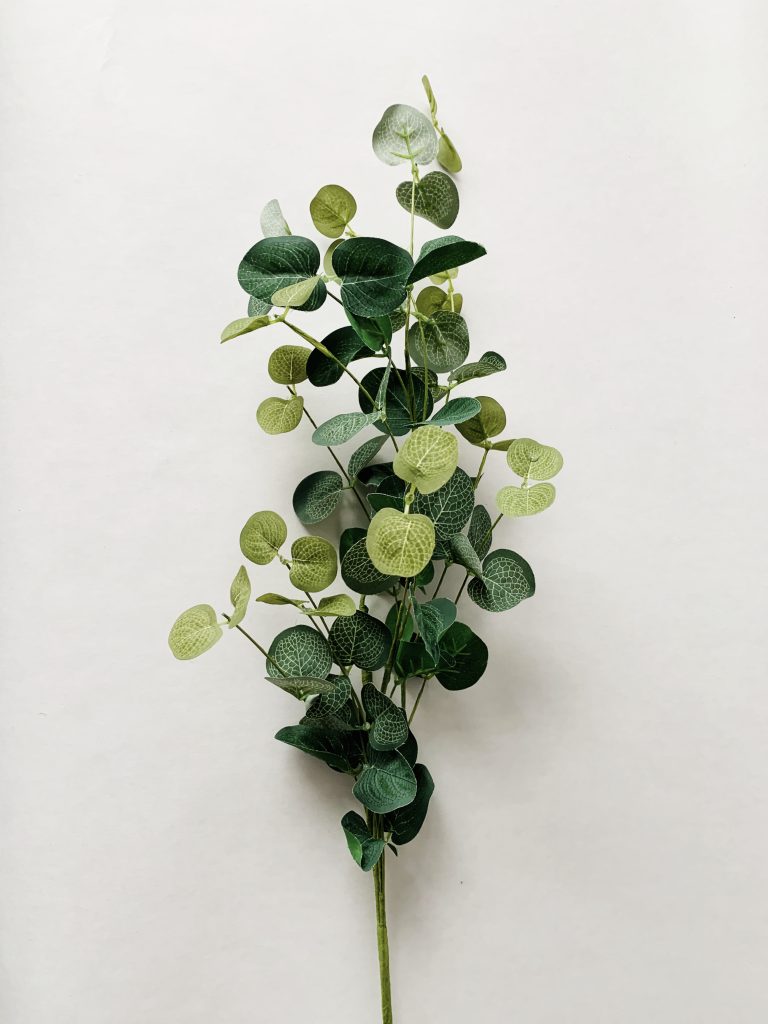 Gren eucalyptus 84 cm