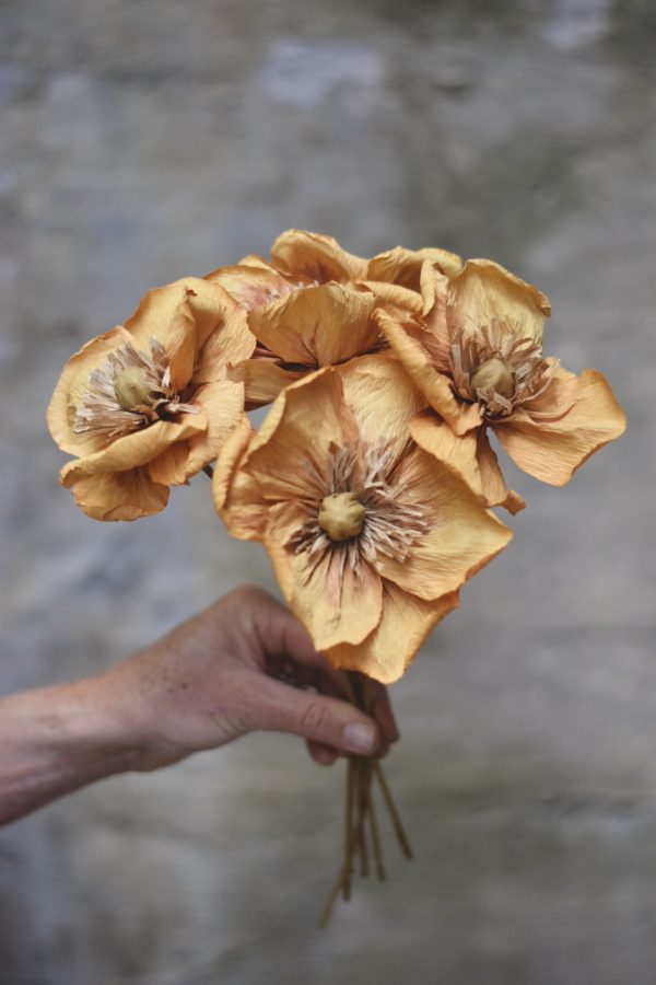 Papirblomst valmue 30 cm gul - Bilde 2