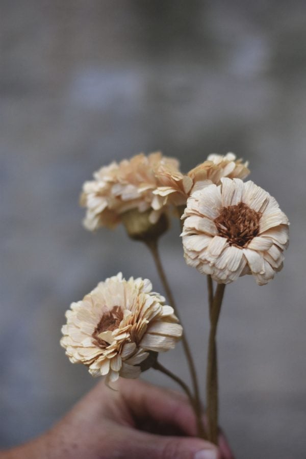 Papirblomst gerbera 30 cm creme - Bilde 2