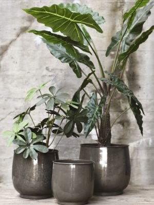 Kunstige planter/tørket strå