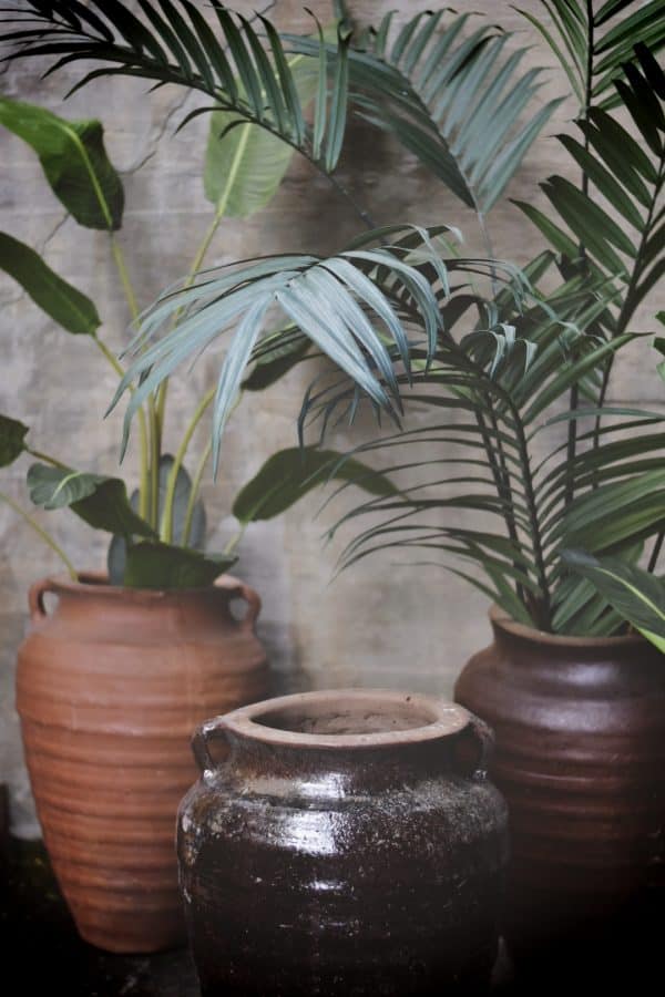 Krukke Iris terracotta 50x75cm - Bilde 4