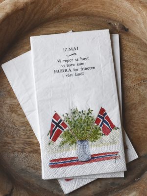 Serviett buffet "17. mai" Hurra Akvarell malt av Anita Sletten