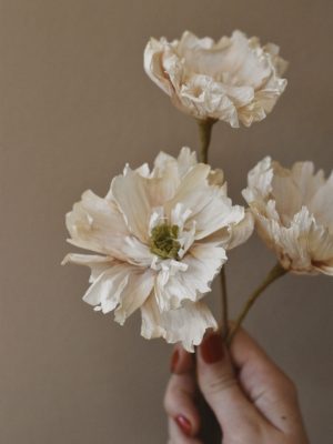 Papirblomst valmue dobbel 30 cm hvit