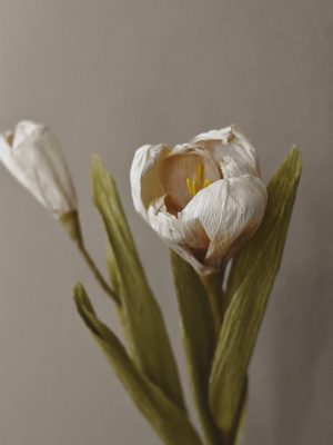 Papirblomst tulipan 30 cm creme