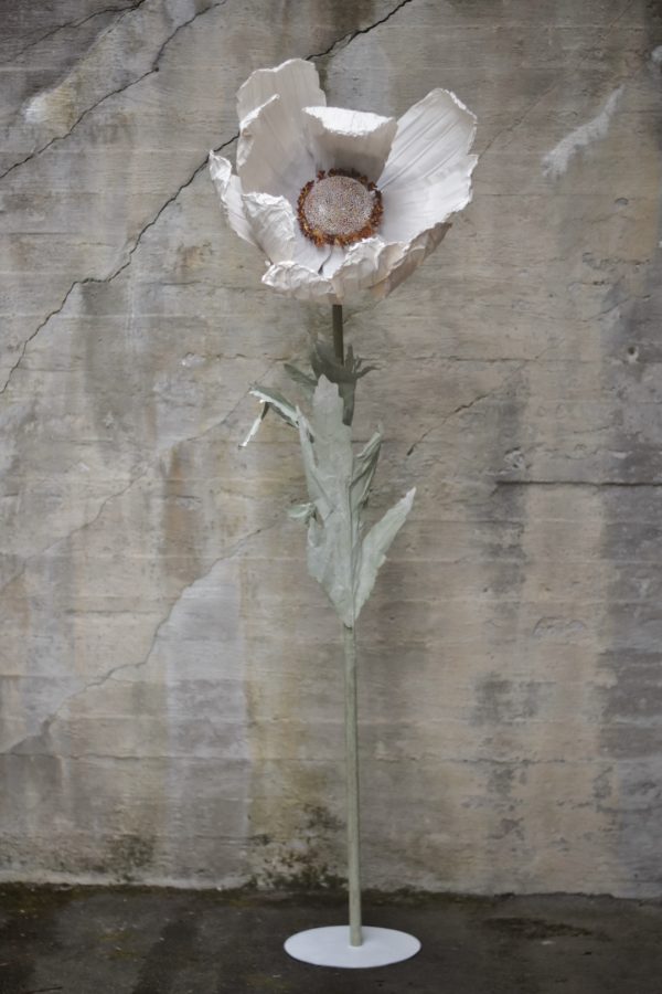 Papirblomst anemone 150 cm hvit