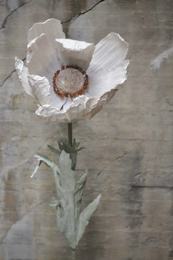 Papirblomst anemone 123 cm hvit