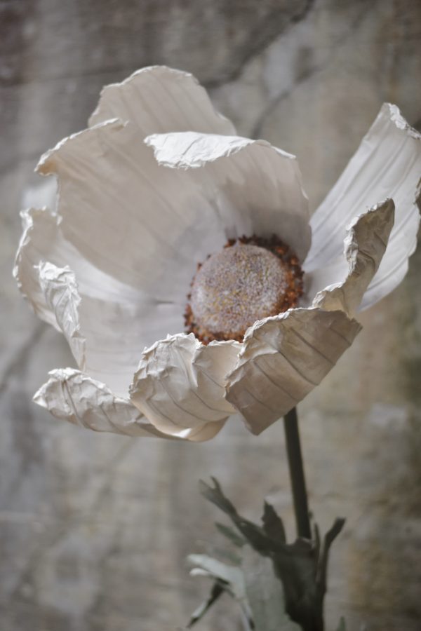 Papirblomst anemone 210 cm hvit - Bilde 2