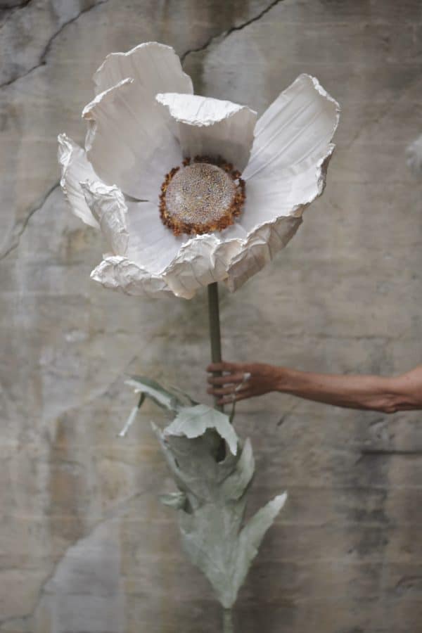 Papirblomst anemone 150 cm hvit - Bilde 2